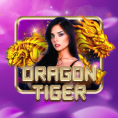 Honor Win Dragon Tiger live casino